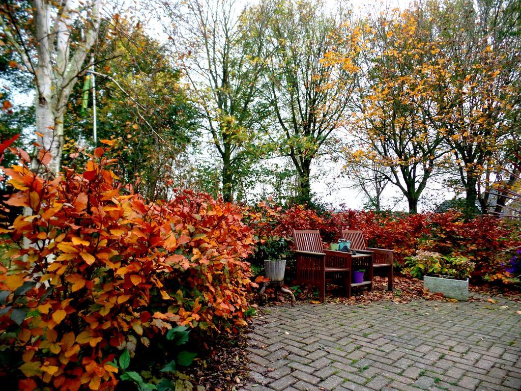 Bed En Breakfast De Pauw Wieringerwaard Exterior photo